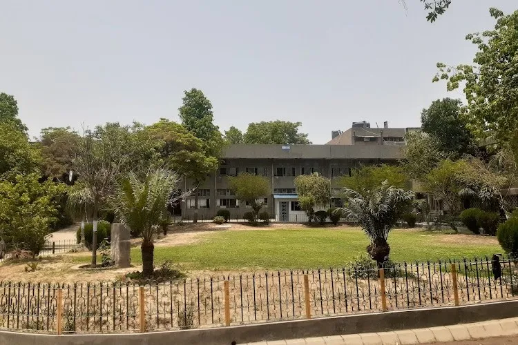 Motilal Nehru College (Evening), New Delhi