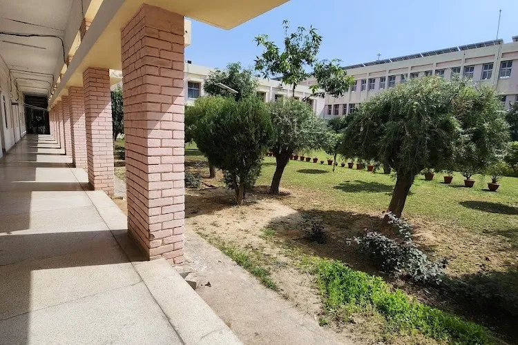 Motilal Nehru National Institute of Technology, Prayagraj
