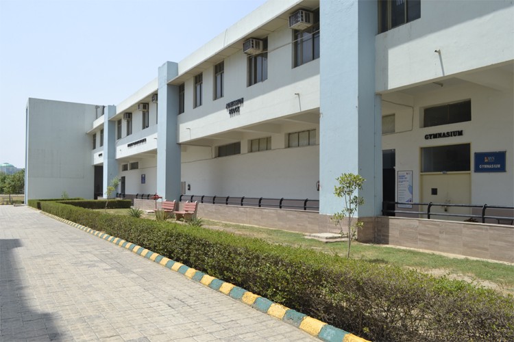 MVN University, Palwal