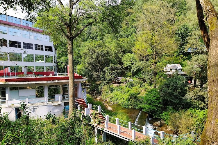 Naincy College of Nursing, Nainital