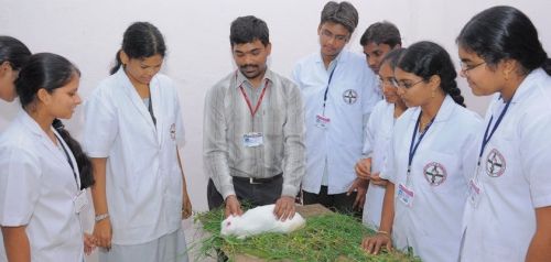 Narasaraopeta Institute of Pharmaceutical Sciences, Guntur