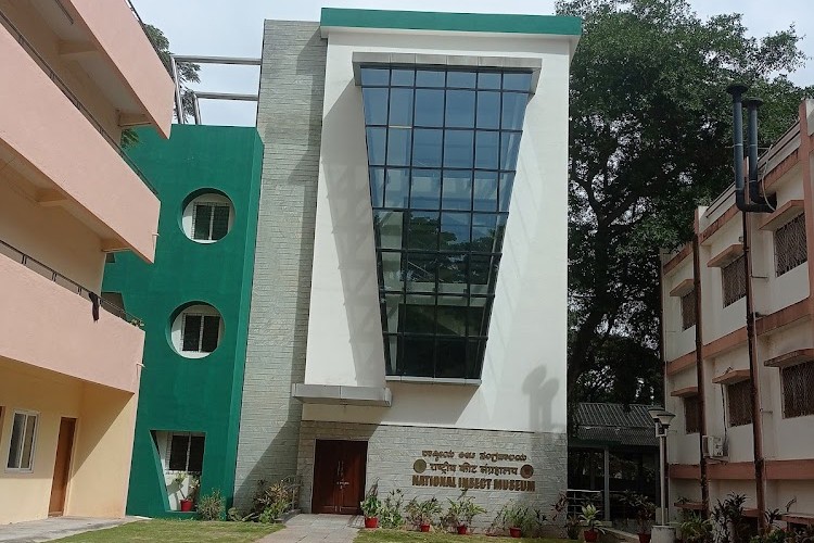National Bureau of Agricultural Insect Resources, Bangalore