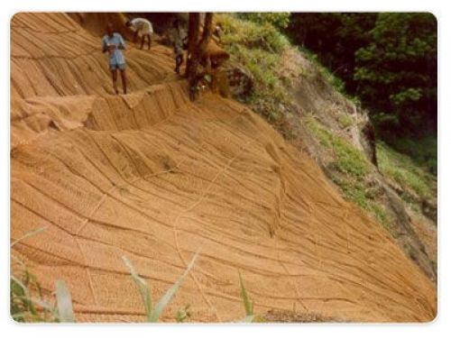 National Coir Research and Management Institute, Thiruvananthapuram