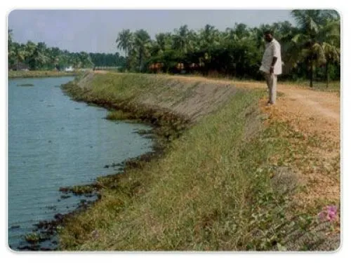National Coir Research and Management Institute, Thiruvananthapuram