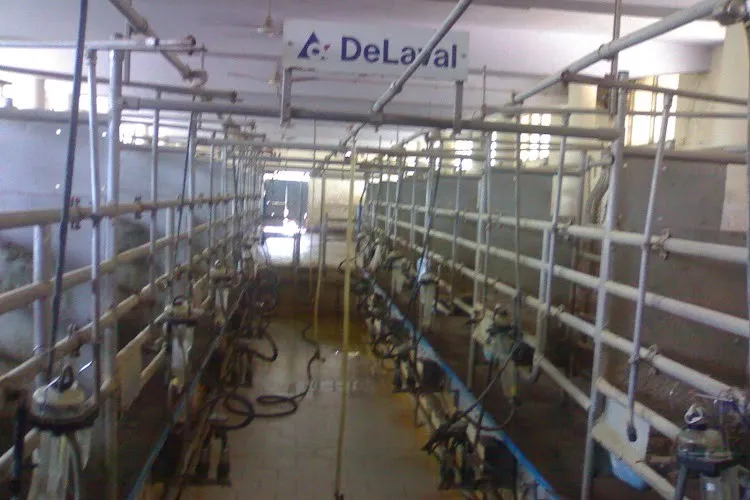 National Dairy Research Institute, Karnal