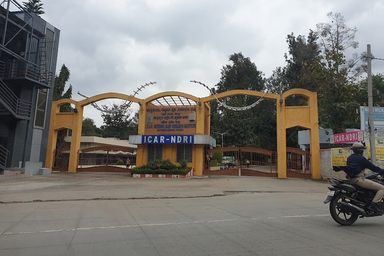 National Institute of Animal Nutrition and Physiology, Bangalore