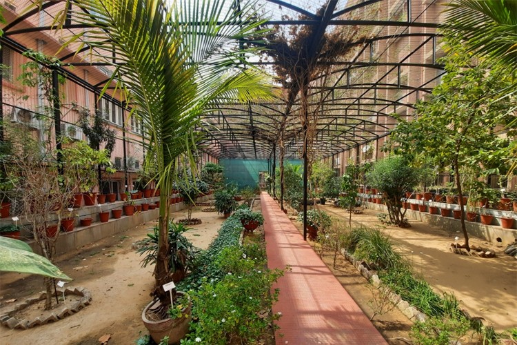 National Institute of Ayurveda, Jaipur