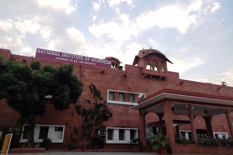 National Institute of Ayurveda, Jaipur