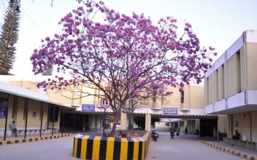 National Institute of Mental Health and Neuro Sciences, Bangalore