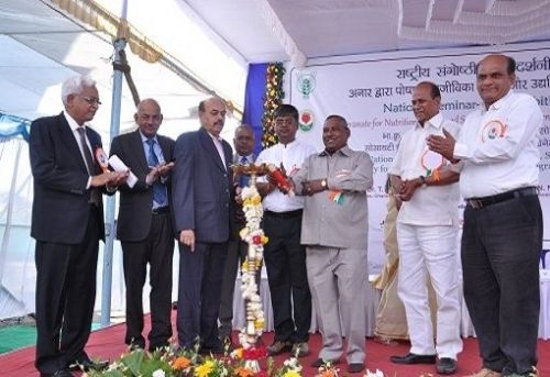 National Research Center on Pomegranate, Solapur