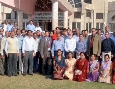 National Research Centre for Agroforestry, Jhansi