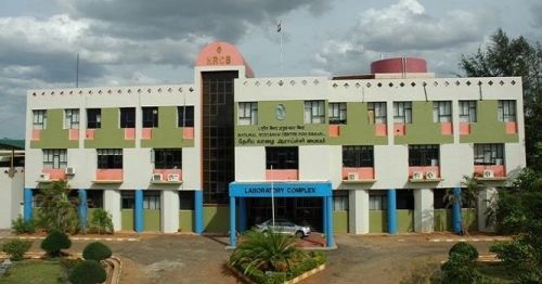 National Research Centre for Banana, Tiruchirappalli