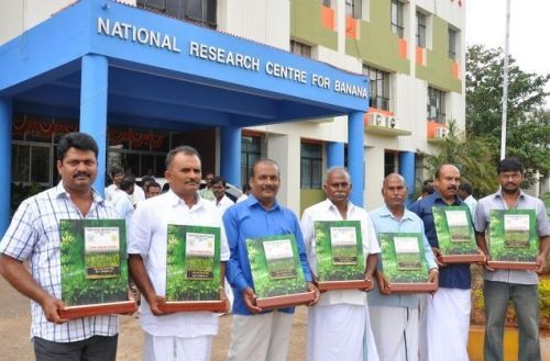 National Research Centre for Banana, Tiruchirappalli