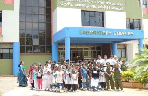 National Research Centre for Banana, Tiruchirappalli