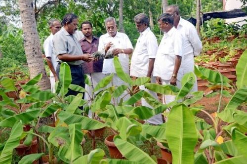 National Research Centre for Banana, Tiruchirappalli