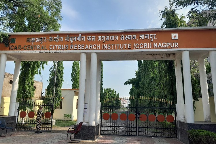 National Research Centre for Citrus, Nagpur