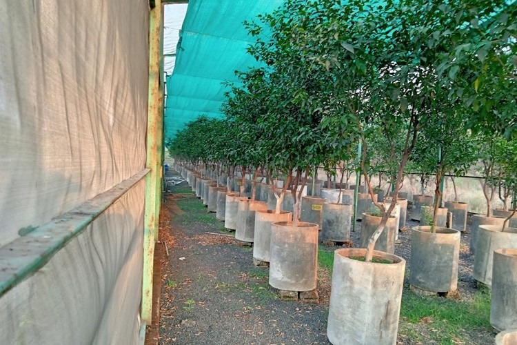 National Research Centre for Citrus, Nagpur