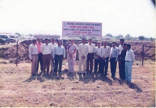 National Research Centre for Grapes, Pune