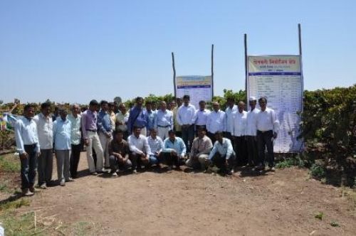 National Research Centre for Grapes, Pune