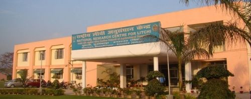 National Research Centre for Litchi, Muzaffarpur