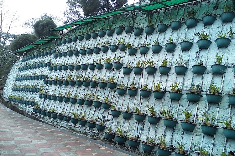 National Research Centre for Orchids, East Sikkim