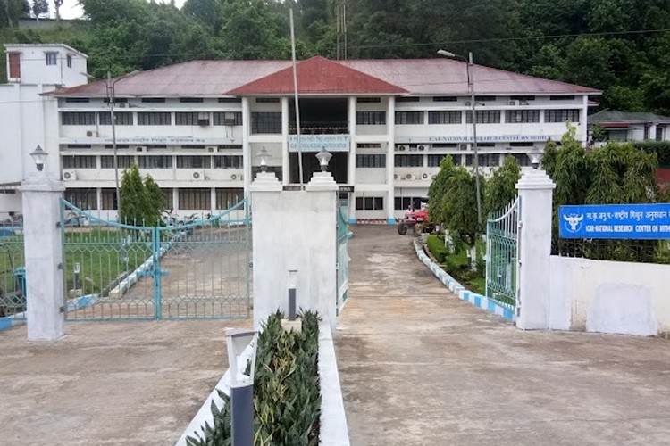 National Research Centre on Mithun, Dimapur