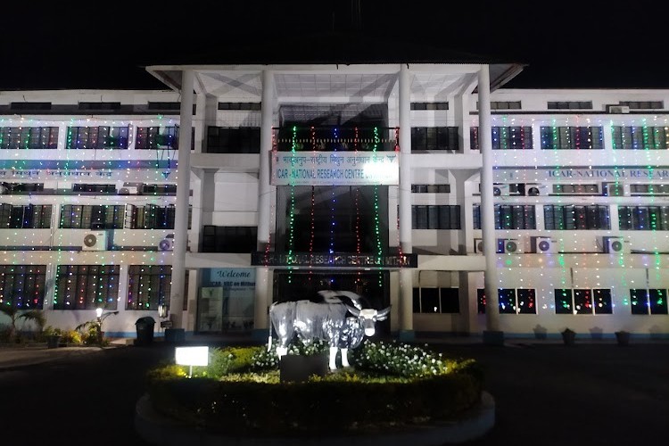 National Research Centre on Mithun, Dimapur