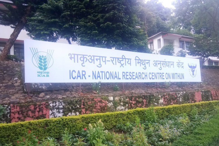 National Research Centre on Mithun, Dimapur