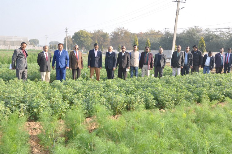 National Research Centre Seed Spices, Ajmer