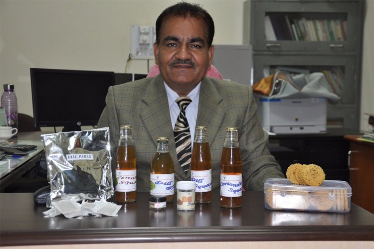 National Research Centre Seed Spices, Ajmer