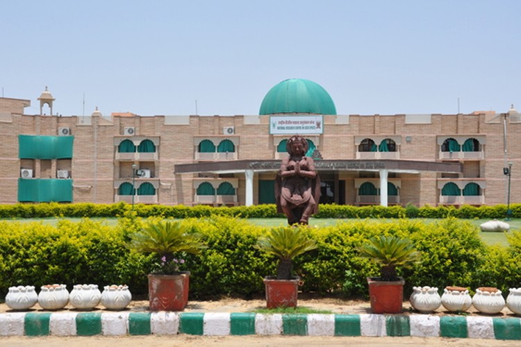 National Research Centre Seed Spices, Ajmer