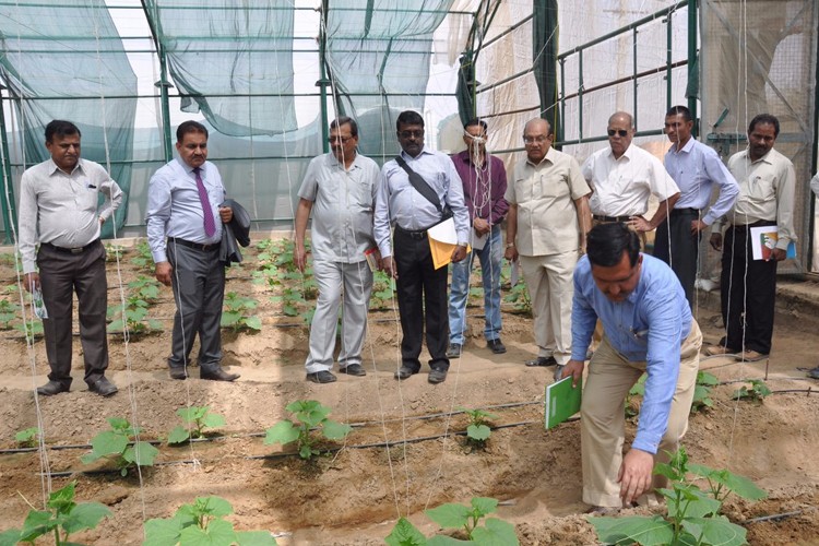 National Research Centre Seed Spices, Ajmer