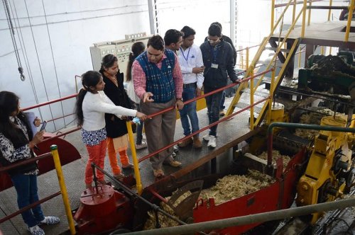 National Sugar Institute, Kanpur