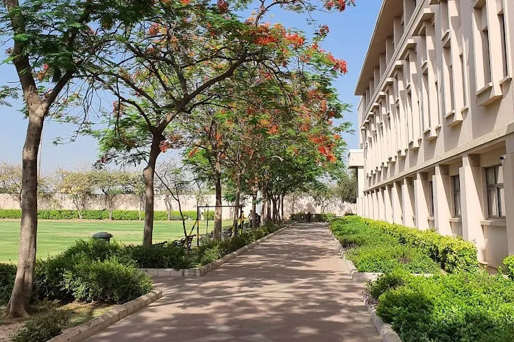 NCU, School of Management and Liberal Arts, Gurgaon