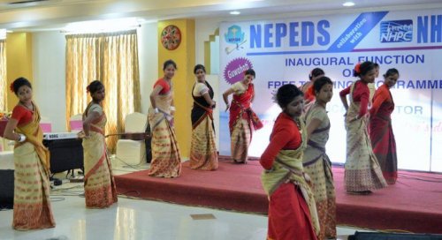 NEPEDS Group of Institutions, Guwahati