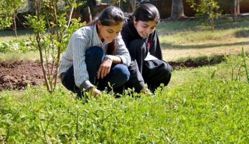 New Look Girls College, Banswara