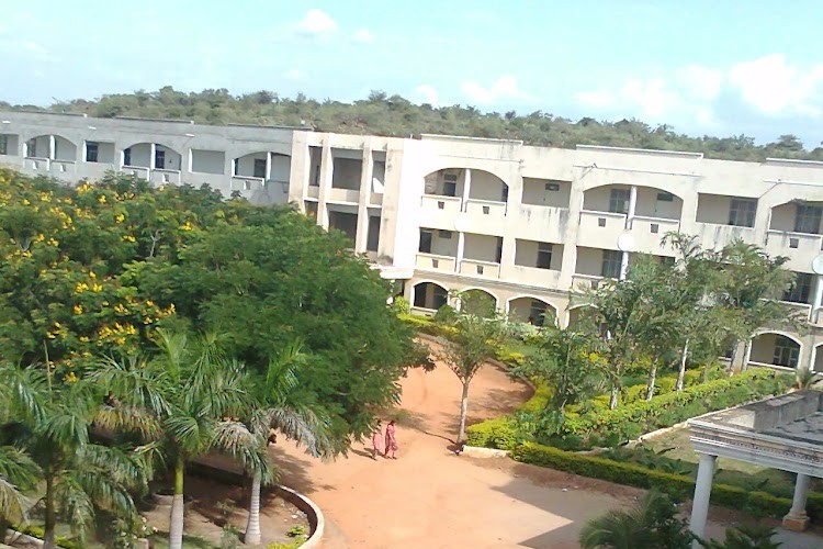 Newton's Institute of Engineering, Guntur