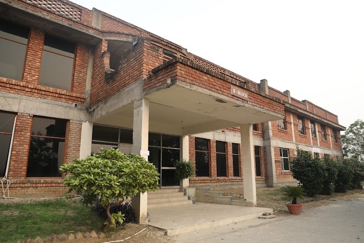 NIILM University, Kaithal