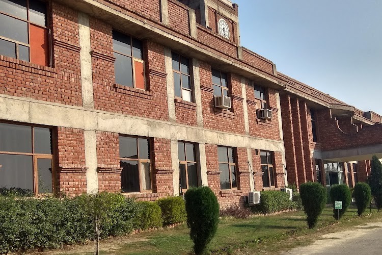 NIILM University, Kaithal