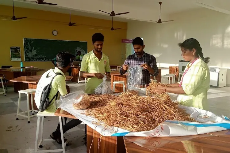 NMV University, Chennai