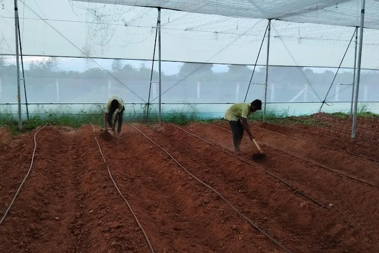 NMV University, Chennai