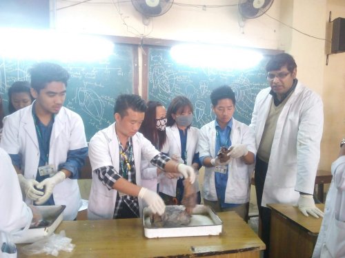 North East Homoeopathic Medical College and Hospital, Itanagar