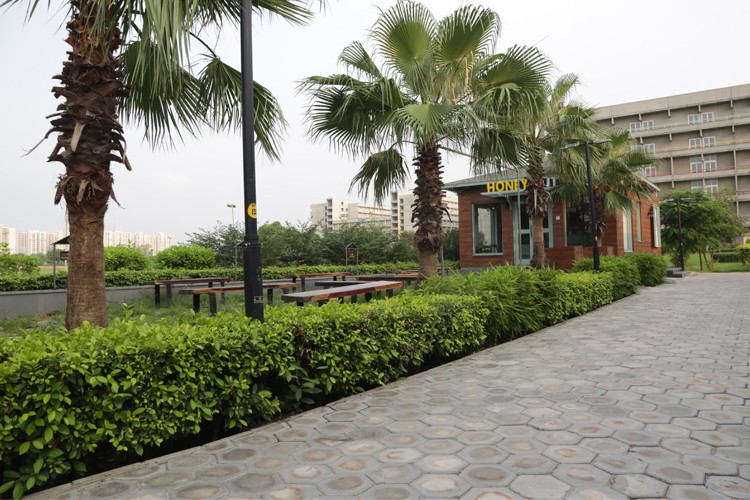 O.P. Jindal Global University, Sonipat