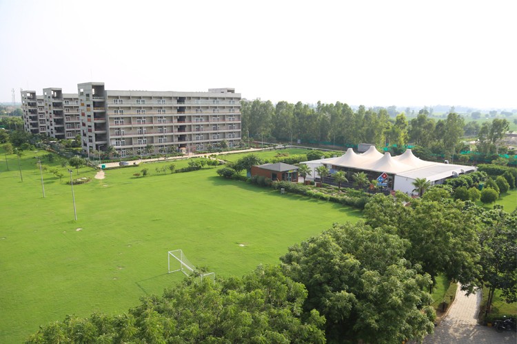 O.P. Jindal Global University, Sonipat