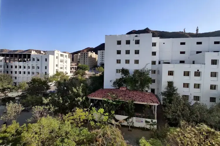 Pacific Medical College and Hospital, Udaipur