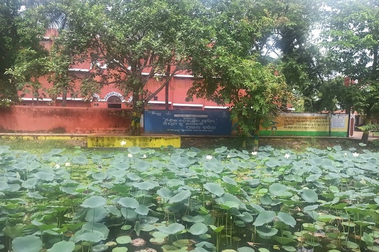 Paradip College, Jagatsinghpur