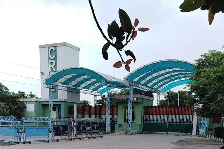 Patronage Institute of Professional Studies, Greater Noida