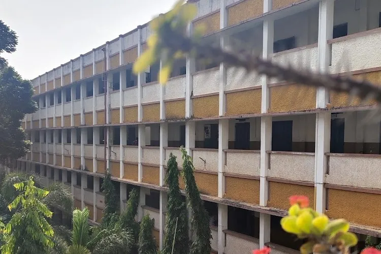 PB Siddhartha College of Arts and Science, Vijayawada