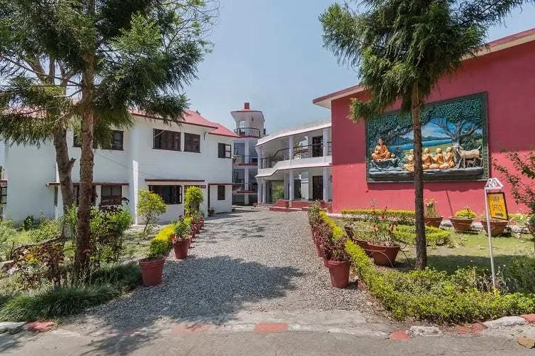 Pestle Weed College of Information Technology, Dehradun