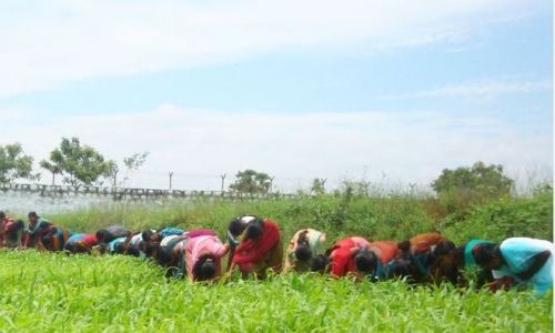 PGP College of Agricultural Science, Namakkal